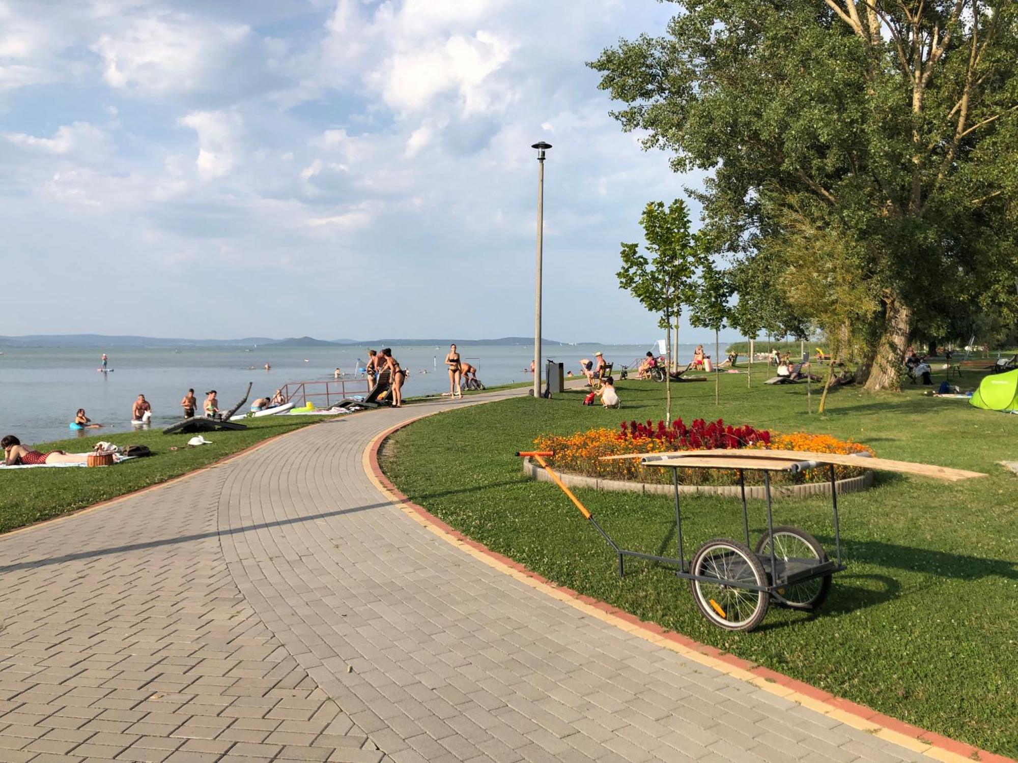 Vadszilva