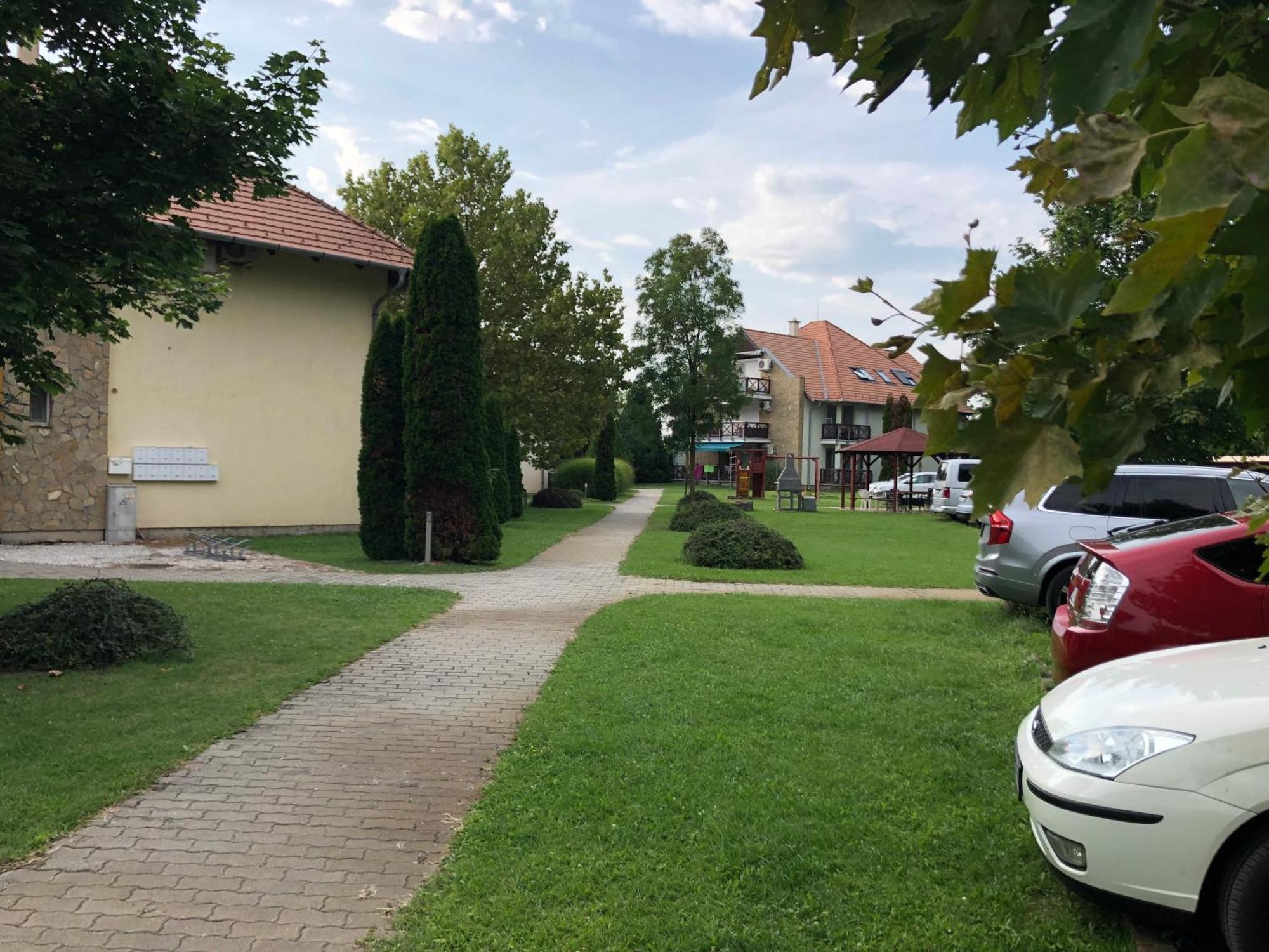 Vadszilva