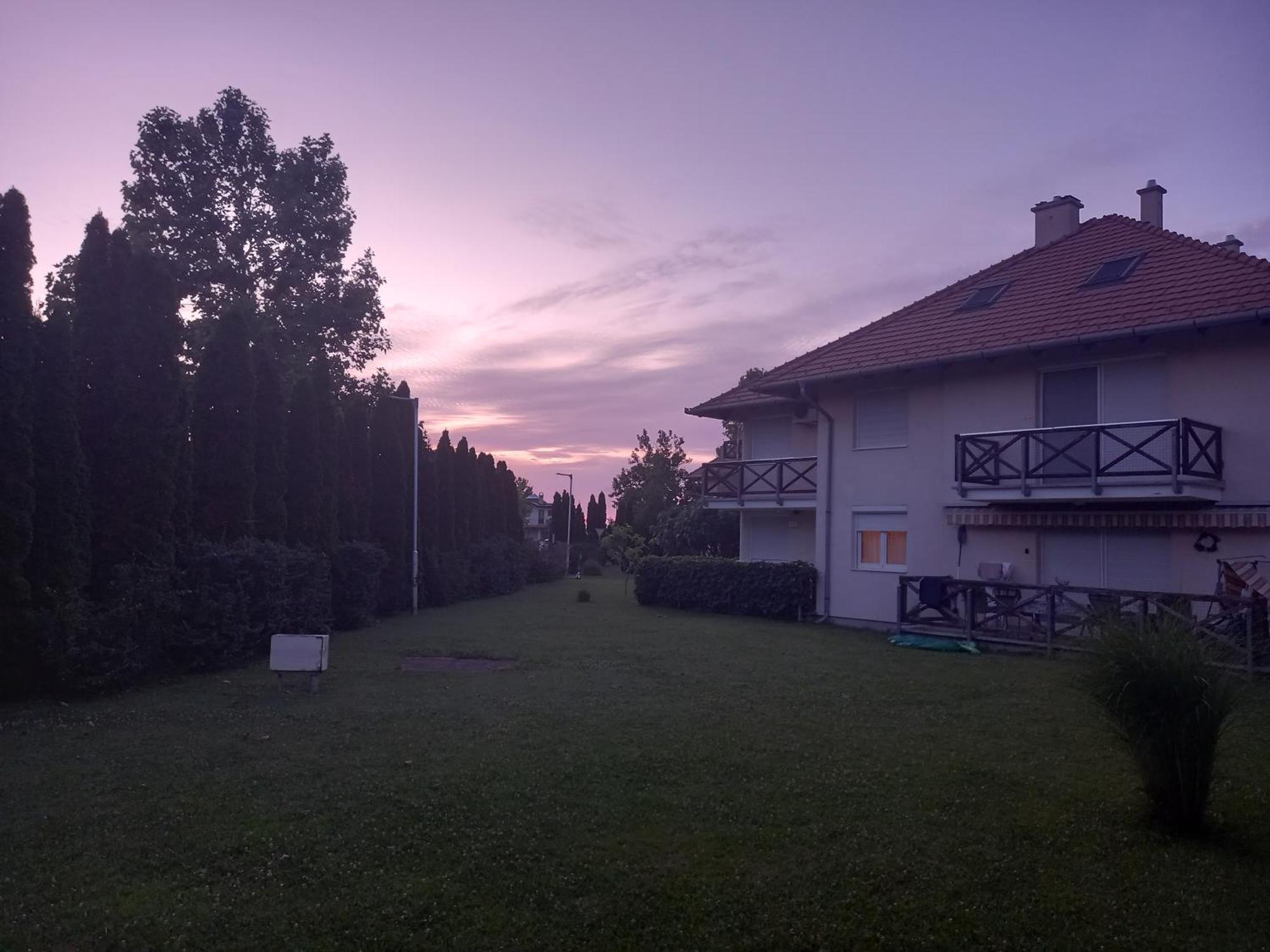 Vadszilva