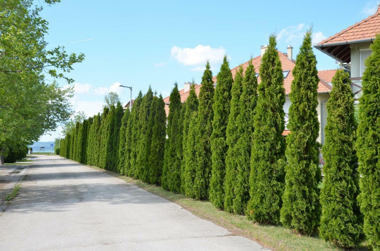 Apartment Vadszilva Balatonoszod